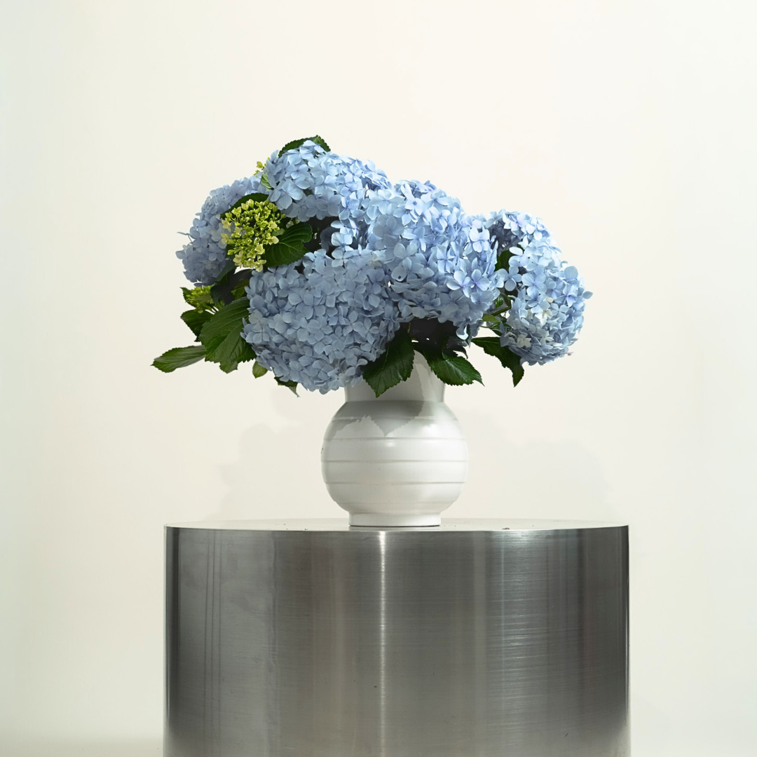 Hydrangeas by the Stem