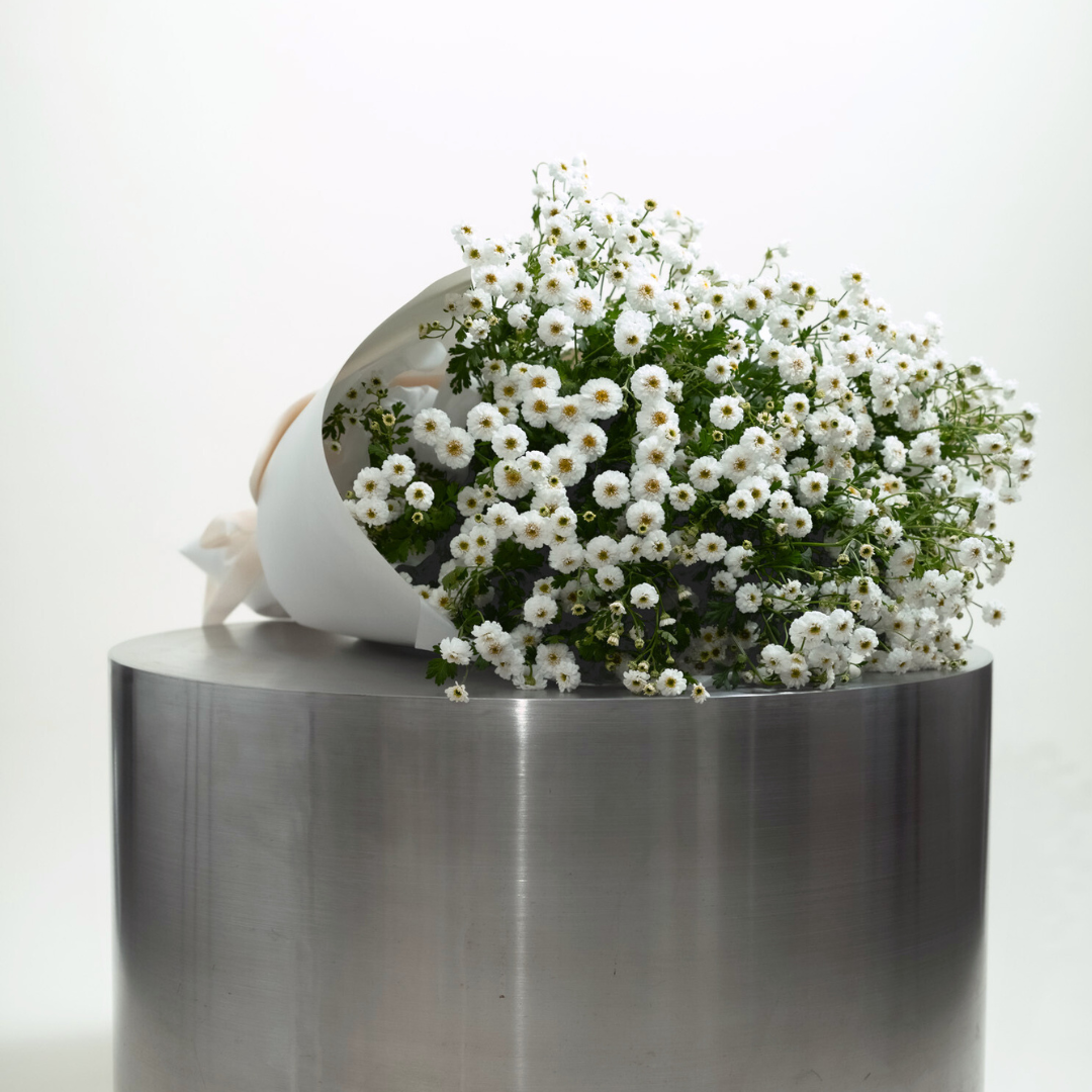 Seasonal Meadow En Masse