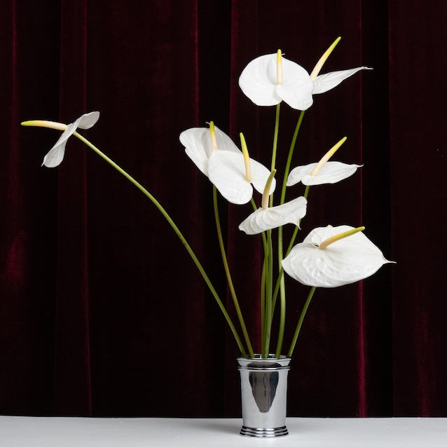 White flowers in a clear vase against a dark red curtain