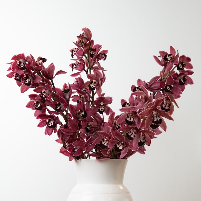 White vase with pink flowers on a wooden surface and white background