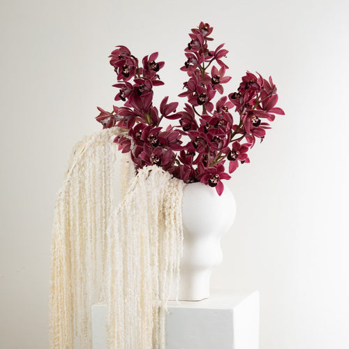 modern floral arrangement with cymbidium orchids and amaranthus
