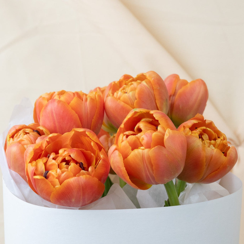 Bouquet of orange tulips in a white box on a beige background