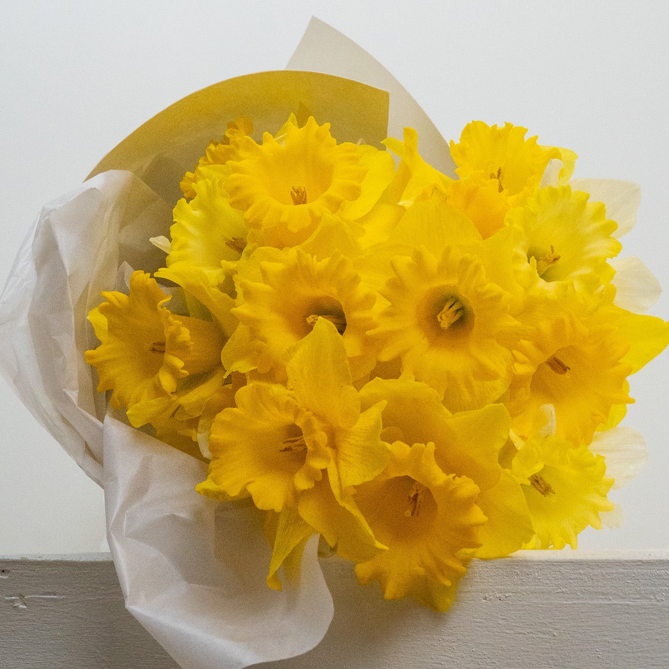 A bouquet of bright yellow daffodils wrapped in white tissue paper and a yellow paper collar, resting on a light gray surface against a white background.