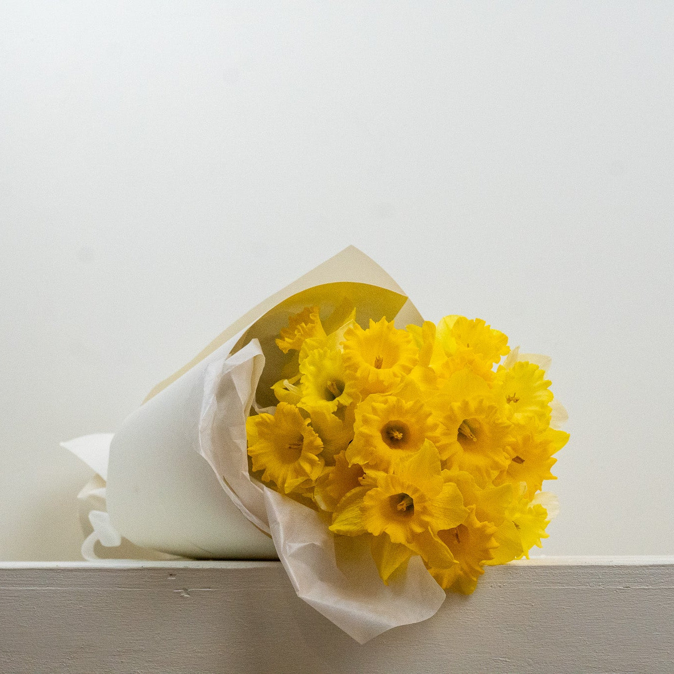 Daffodils En Masse