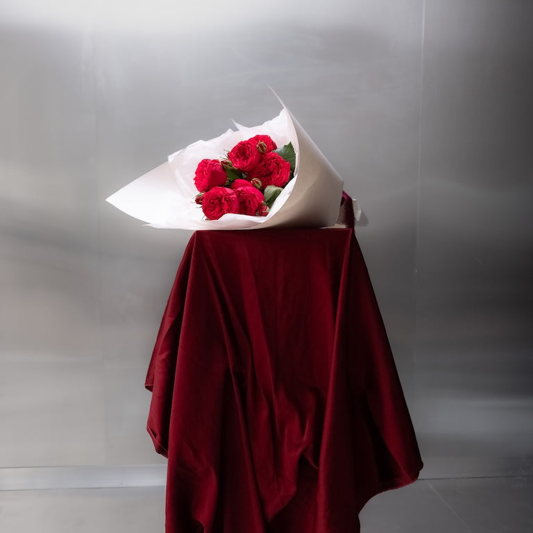 Red Garden Roses in White Wrap