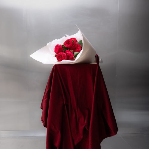 Red Garden Roses in White Wrap