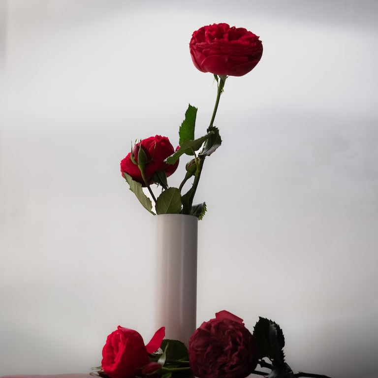 Red roses in a white vase on a dark surface with a light gray background