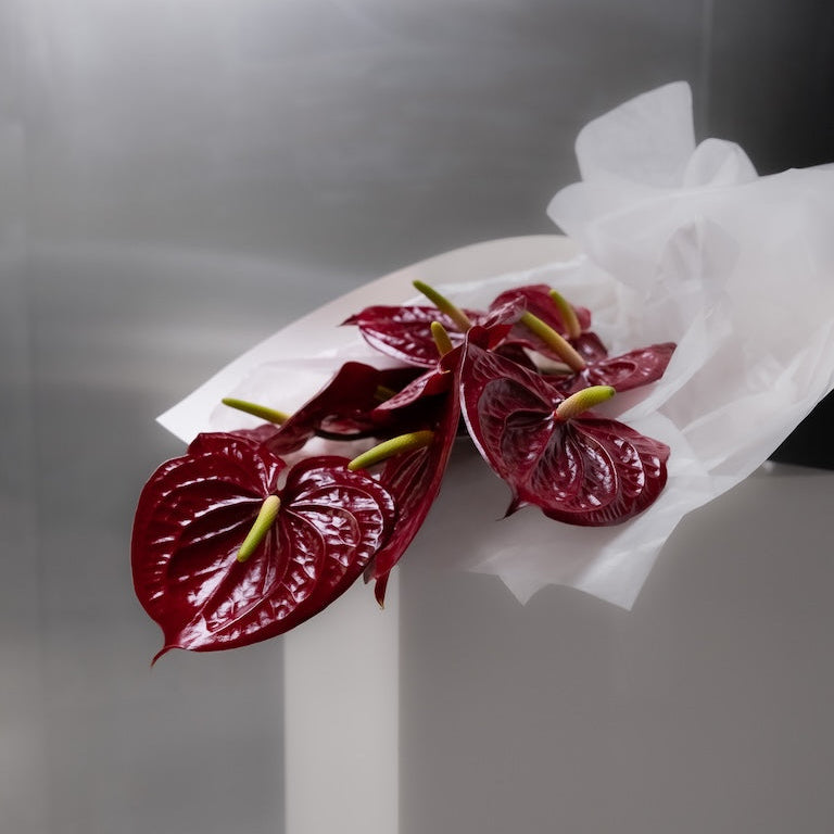 Red leaves on a white pedestal against a gray background
