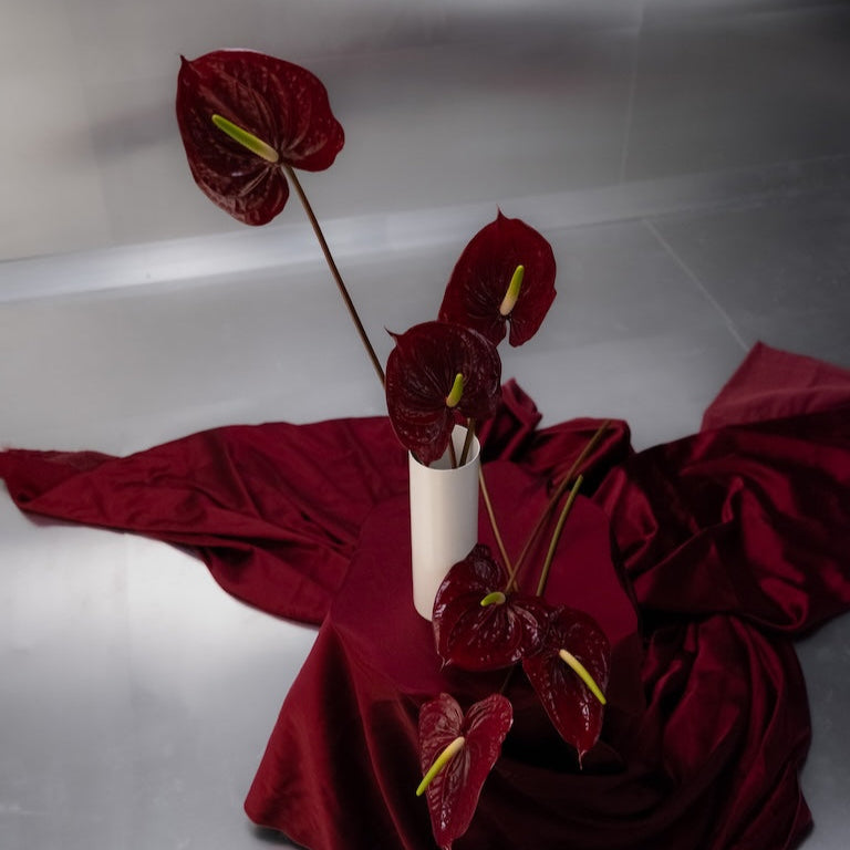 Red flowers in a white vase on a red fabric with a reflective silver background
