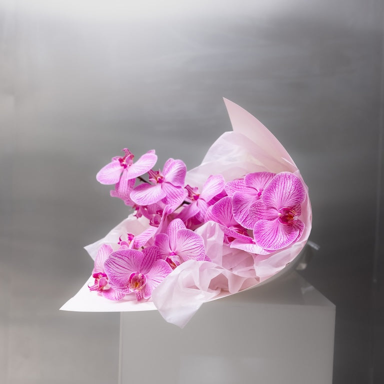 Bouquet of pink orchids in a white box on a gray background
