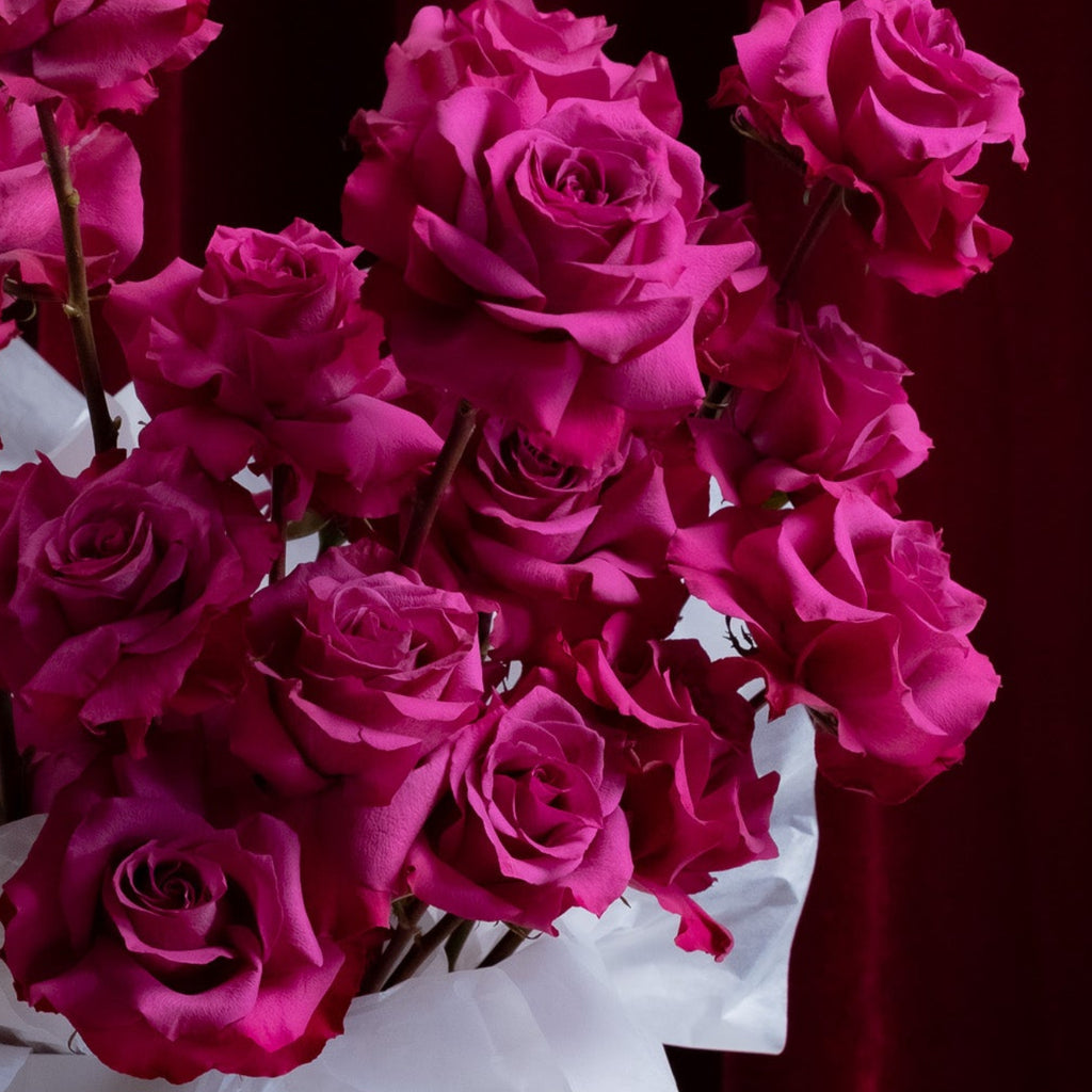 Bouquet of pink roses in a white vase against a red curtain background