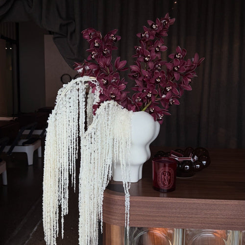 Cymbidiums and Amaranthus | Limited Release